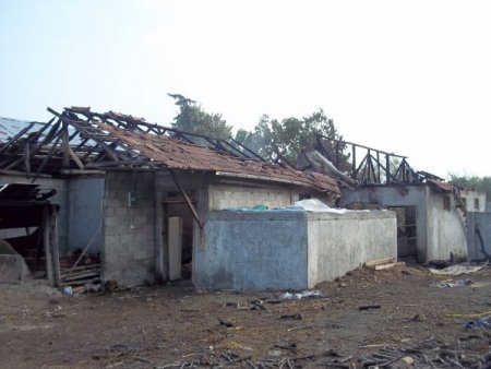 Ahırda çıkan yangında 7 büyükbaş hayvan telef oldu