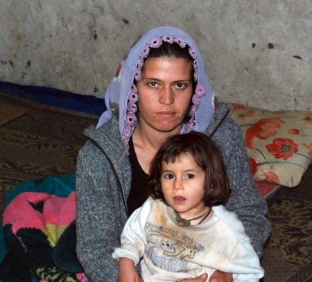 Ahırdan dönme baraka evdeki dram