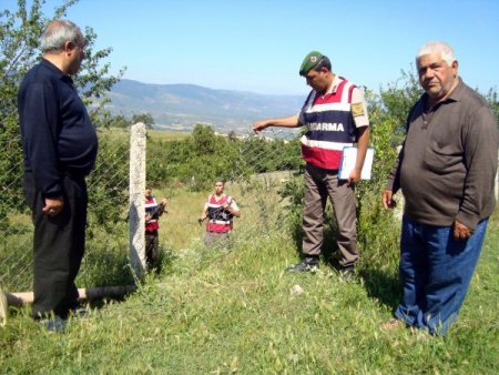 Ahırın Duvarını Delen Hırsızlar İnek Çaldı