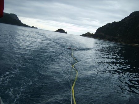 Ahmet Ercan: Ya yanardağ, ya da 7’den büyük bir deprem