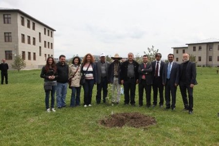 AİÇÜ'nün misafir öğretim üyeleri, ağaç dikti