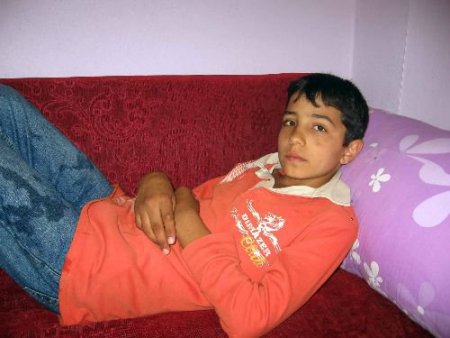 Aile Boyu Domuz Gribi