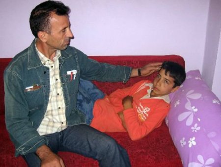 Aile Boyu Domuz Gribi