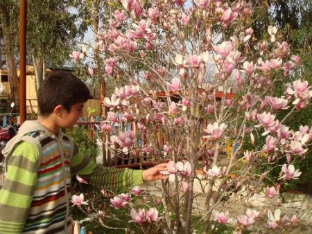 Ailelerin Sürekli Ders Çalış Başkısı Öğrencilerde Sınav Kaygısını Artırıyor