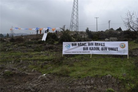 AK Parti Çanakkale İl Kadın Kolları 12 bin ağaç dikti