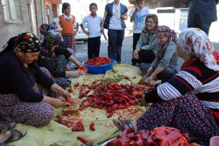 Ak Parti Kadın Kolları Başkanı Şahin: Reyting Uğruna Ahlaki Değerleri Zafiyete Uğratacak Diziler Artıyor