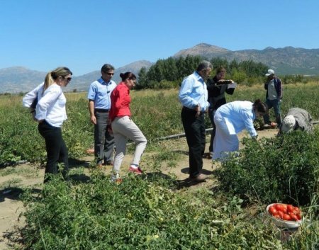AK Parti Milletvekili Dalbudak Acıpayam'da incelemelerde bulundu