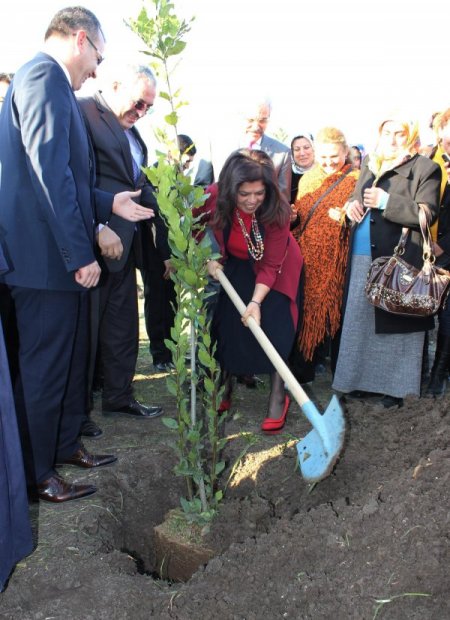 AK Parti’li bayanlar yeni yıla fidan dikerek girdi