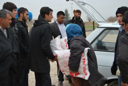 AK Partili gençlerden, Suruç'a sığınan Suriyeliler için yardım kampanyası