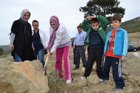 AK Partililer Çanakkale'de fidan dikti