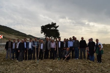 AK Partililer Çanakkale'de fidan dikti