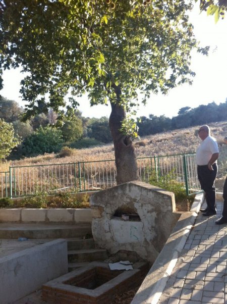 Ak Partililer Seydi Baba Türbesi'nin Taşınmasına Tepki Gösterdi
