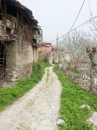 Akademisyen ve araştırmacılar köylerde incelemelerde bulundu