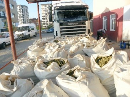 Akaryakıt tankerinde 1 ton esrar ele geçirildi