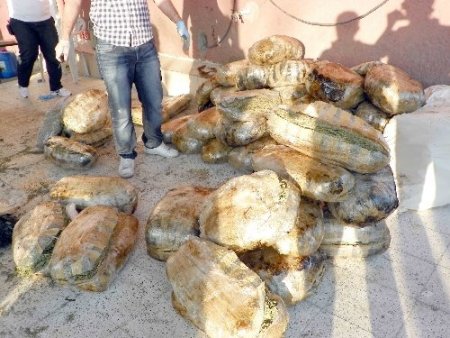 Akaryakıt tankerinde 1 ton esrar ele geçirildi