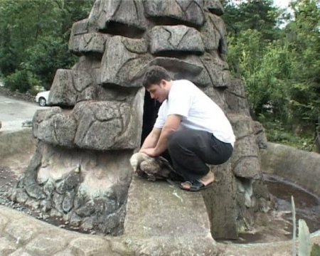 Akbaba’yı Evcilleştirerek İşyerinde Besliyor