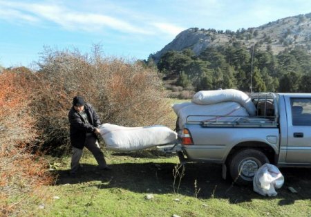 Akdağ’da geyiklere kışlık yem atıldı