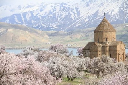 Akdamar Adası badem çiçekleriyle süslendi