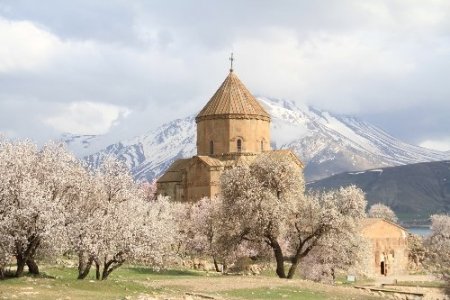 Akdamar Adası badem çiçekleriyle süslendi
