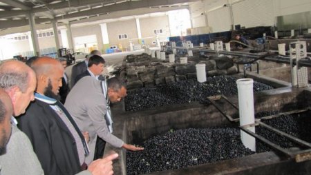 Akhisar ile Somaliland arasında ticaret köprüsü kuruluyor