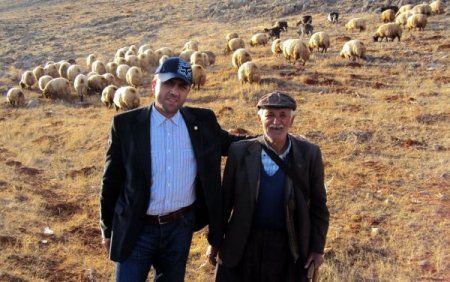 Akın: Spekülatörler Kurban Fiyatlarını Yükseltmeye Çalışıyor