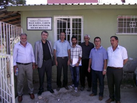 Akkaraman koyun ırkı ıslah çalışması başlatıldı