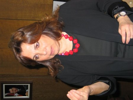 AKPM Türk Grubu Başkanı Memecan: Muhalefet, raportörleri kışkırtıyor