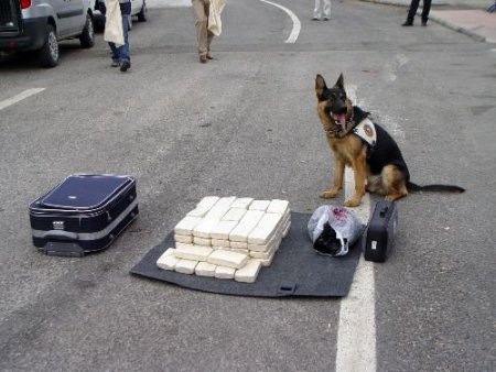 Aksaray Polisi 33,5 Kilogram Eroin Ele Geçirdi