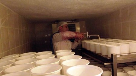 Aksaray Üniversitesi kendi süt ürünlerini üretmeye başladı