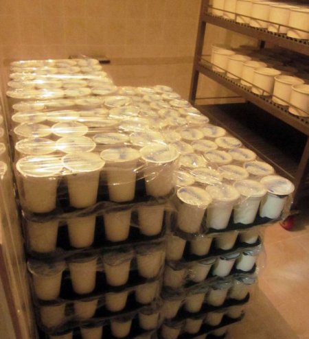 Aksaray Üniversitesi kendi süt ürünlerini üretmeye başladı