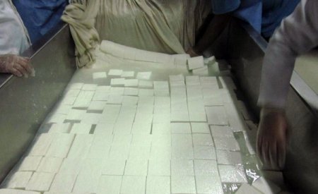 Aksaray Üniversitesi kendi süt ürünlerini üretmeye başladı