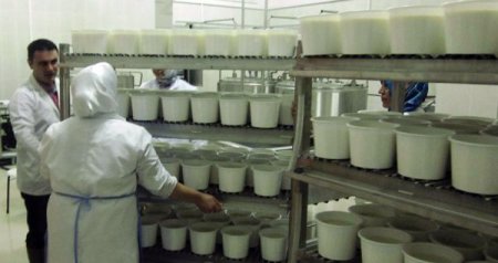 Aksaray Üniversitesi kendi süt ürünlerini üretmeye başladı