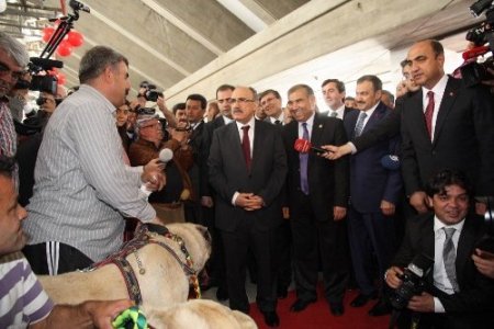 Aksaray'ın kalbi Başkent'te atıyor