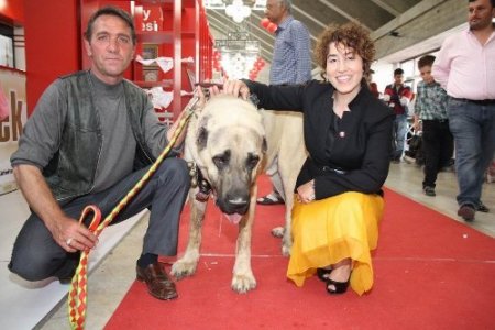 Aksaray'ın kalbi Başkent'te atıyor