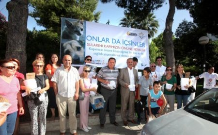 Aktan: Sokak Hayvanlarını Bu Sıcakta Ölüme Terketmeyelim