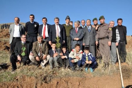 Akyurt'ta 5 Bin Ağaç Toprakla Buluştu