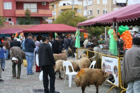 Alanya Belediyesi'nden ücretsiz kurban kesimi