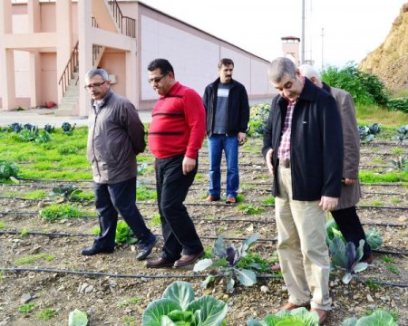 Alanya Cezaevi’nde tropikal meyve sebze fidesi yetiştirilecek (Özel)