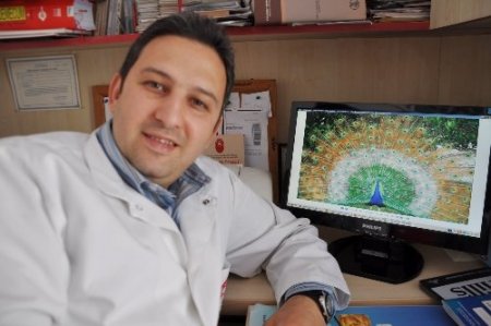 Alanya Müzesi'nin bahçesinde tavus kuşlarından turistlere özel gösteri