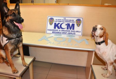 Alanya'da 3 bin ecstacy hap ele geçirildi