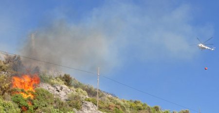 Alanya’da 3 hektar makilik alan yandı