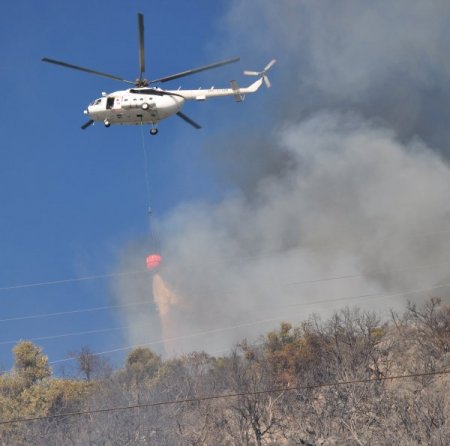 Alanya’da 3 hektar makilik alan yandı