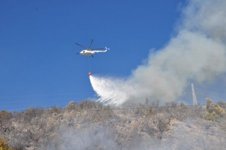 Alanya’da 3 hektar makilik alan yandı