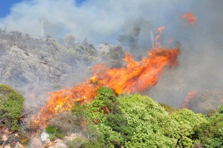 Alanya’da 3 hektar makilik alan yandı