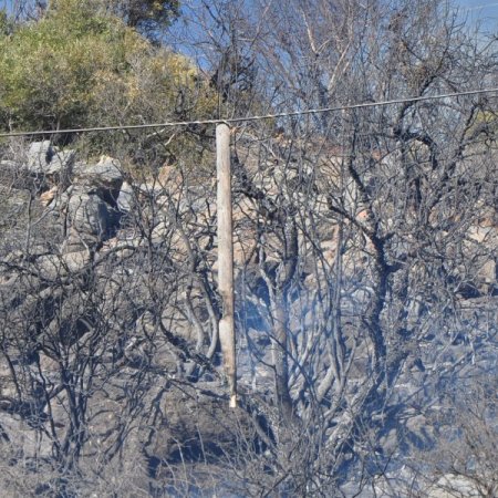 Alanya’da 3 hektar makilik alan yandı