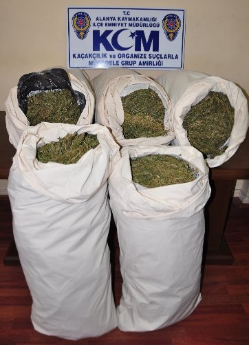 Alanya'da 87 kilogram esrar ele geçirildi