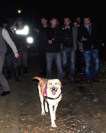 Alanya'da mantar toplamaya çıkan 80 yaşındaki nine kayboldu