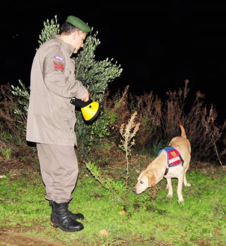 Alanya'da mantar toplamaya çıkan 80 yaşındaki nine kayboldu