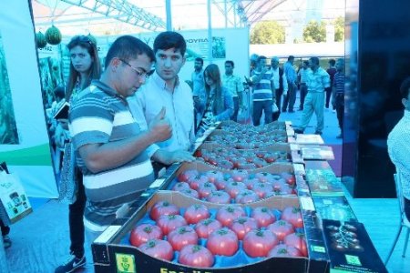 Alanya'da tarım şenliğine 40 firma katıldı
