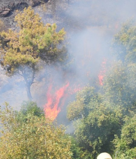 Alanya’daki orman yangını lüks villalara sıçramadan söndürüldü